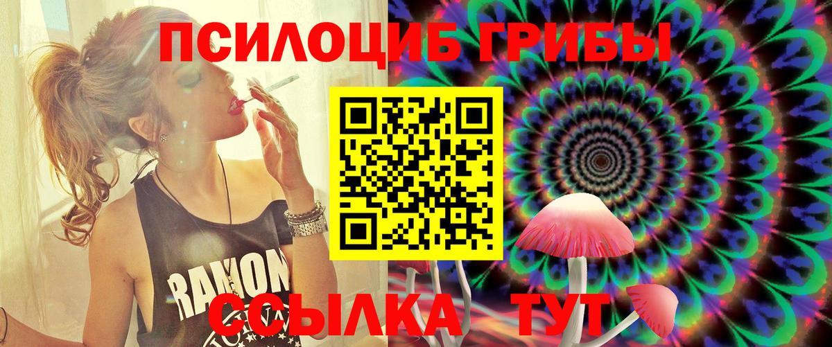Псилоцибиновые грибы Magic Shrooms  как найти наркотики  Элиста  Галлюциногенные грибы Magic Shrooms  Вход с VPN 